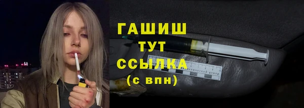 дмт Богородицк