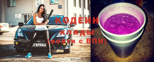 дмт Богородицк