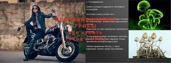 а пвп мука Богданович
