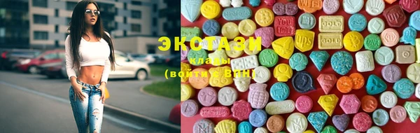 дмт Богородицк
