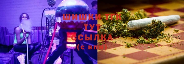 дмт Богородицк