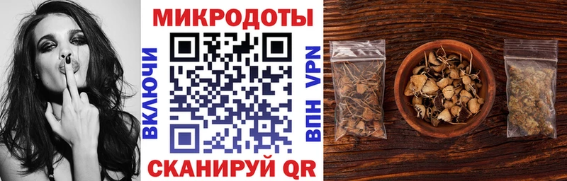 закладки  Котельнич  Галлюциногенные грибы Psilocybine cubensis 